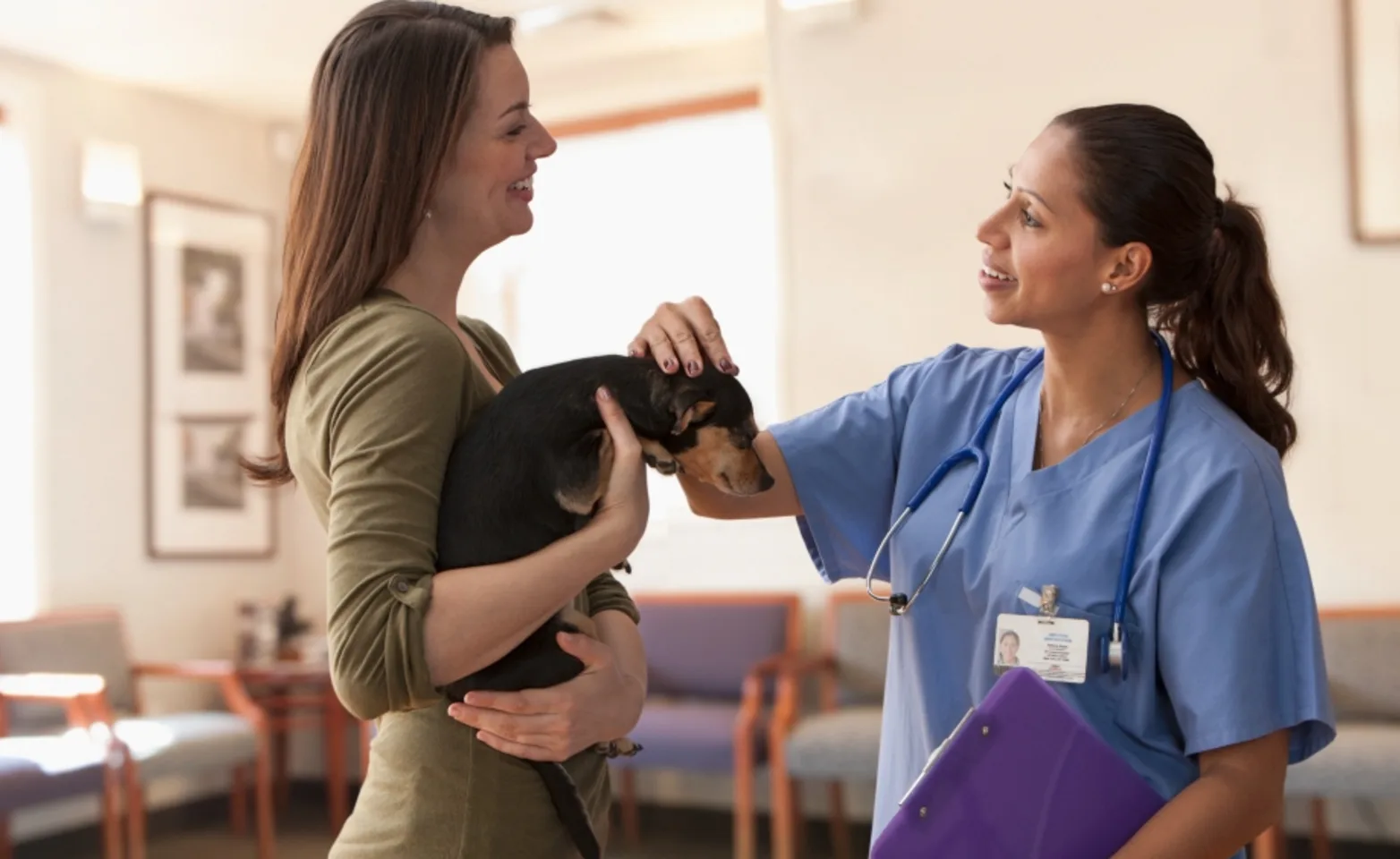 A veterinarian and pet parent talking while holding the pet